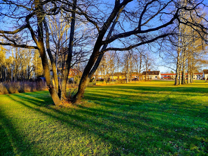 IMG_20241220_133727524_HDR (700x525, 678Kb)