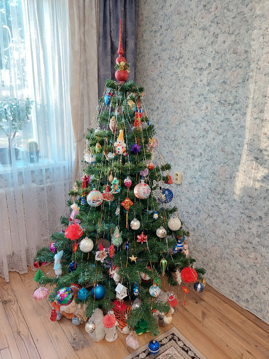 20241221_154157 (525x700, 542Kb)