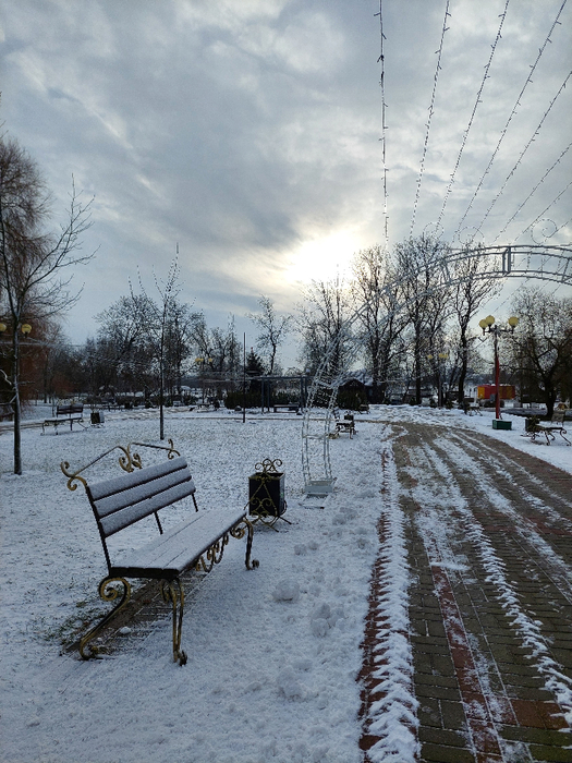 20250111_113257 (525x700, 466Kb)