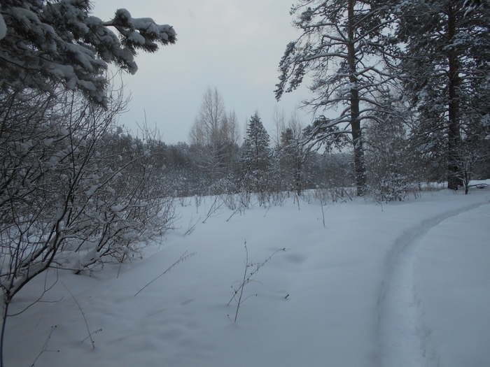 4533467_DSCN72661 (700x525, 265Kb)