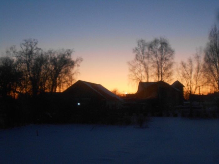 4533467_DSCN72741 (700x525, 187Kb)