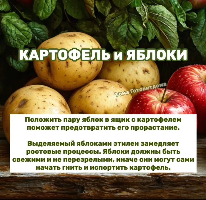 кх3 (700x682, 493Kb)