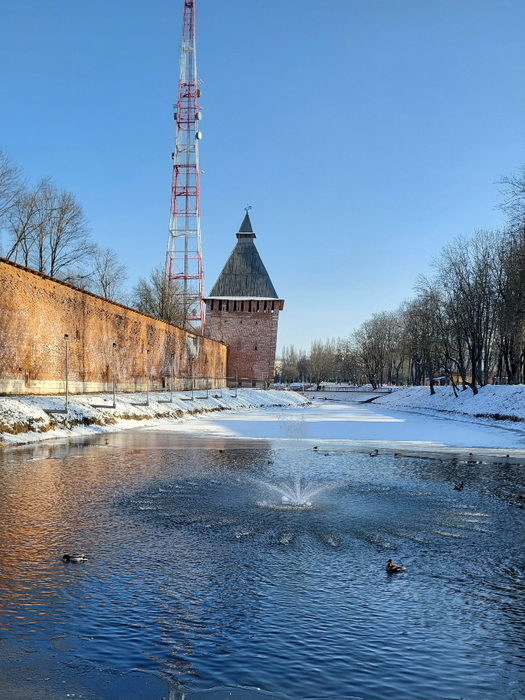 20250208_150521 (525x700, 462Kb)