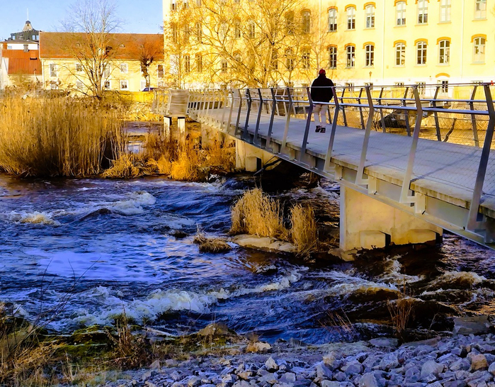 IMG_20250210_144414421_HDR (700x546, 609Kb)