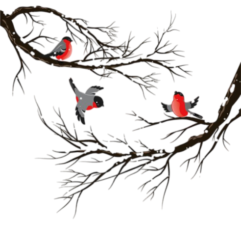 8688ac9e711c5d03ed63bc0c4a1985ba (492x507, 189Kb)