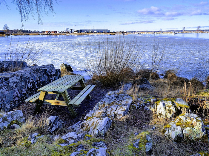 IMG_20250214_135719492_HDR (700x525, 555Kb)