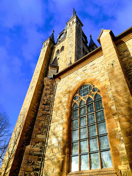IMG_20250214_150353627_HDR (525x700, 660Kb)