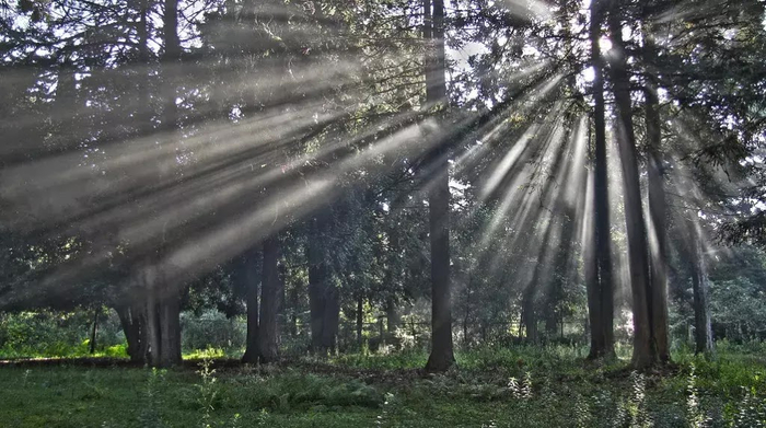 i (71) (700x391, 287Kb)