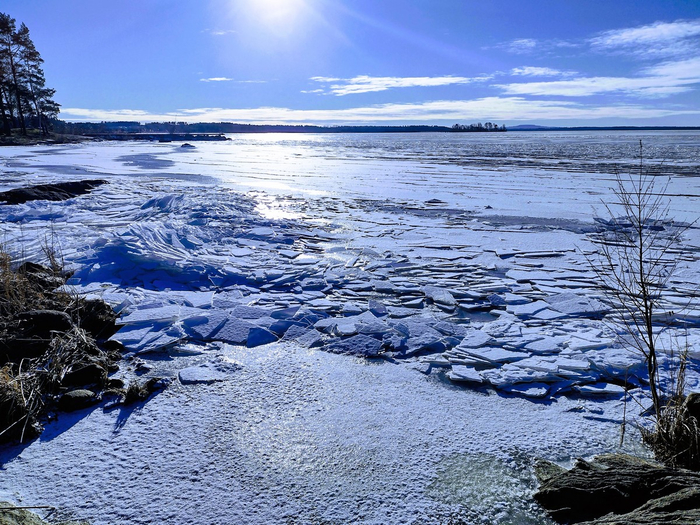 IMG_20250216_144208532_HDR (700x525, 513Kb)