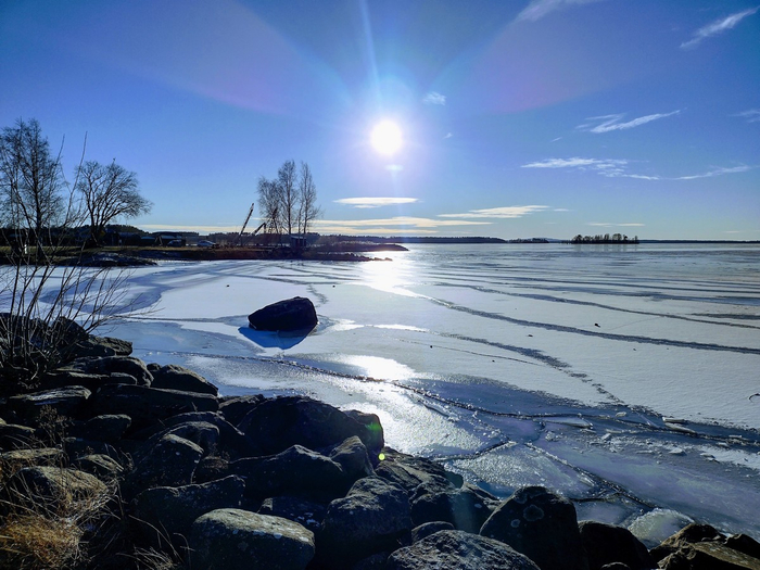 IMG_20250216_151941843_HDR (700x525, 379Kb)
