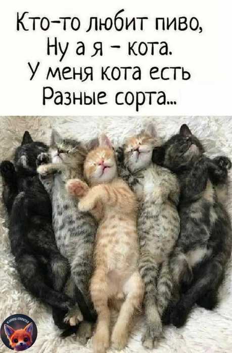 1706786361634 (459x700, 37Kb)