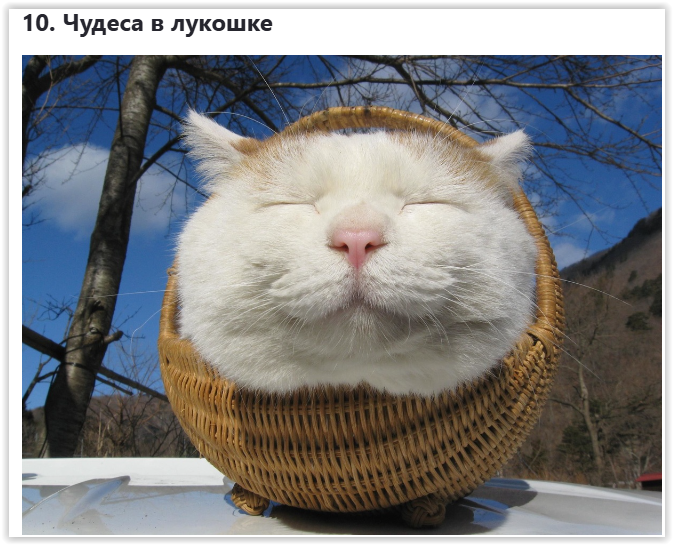Screen Shot 02-20-25 at 10.41 PM 002 (673x545, 829Kb)
