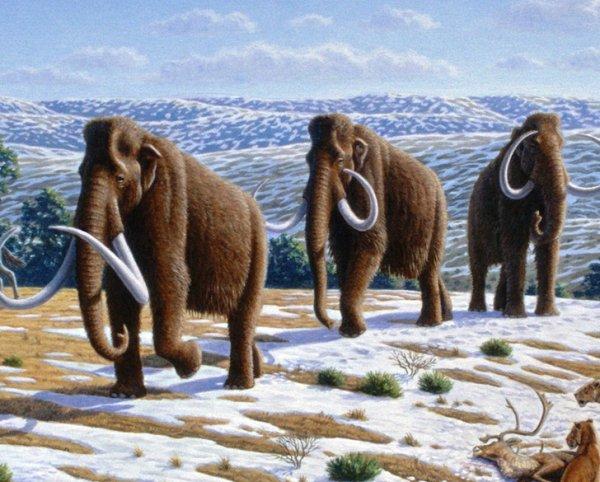 1659983290_14 (600x482, 63Kb)