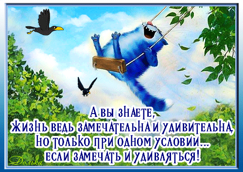 life-happi (500x353, 1305Kb)
