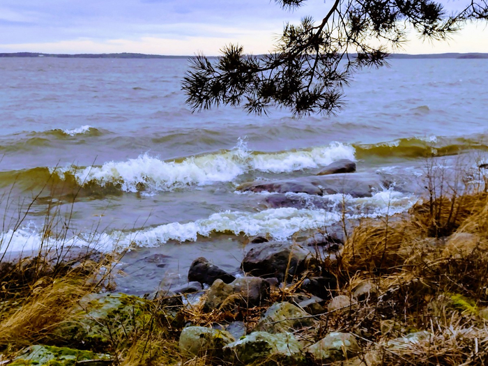 IMG_20250302_131145918_HDR (700x525, 512Kb)