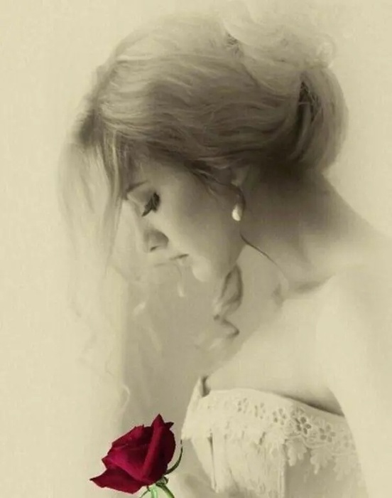    (552x700, 61Kb)
