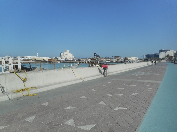 4878453_DSCN0031 (700x525, 218Kb)