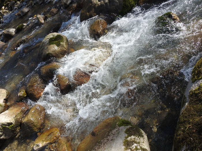 DSCN1879 (700x525, 522Kb)