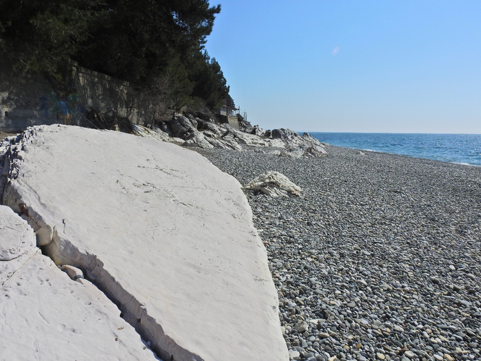 DSCN1810 (700x525, 427Kb)