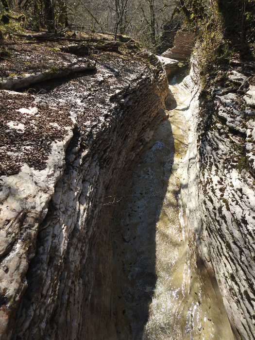 DSCN1868 (525x700, 568Kb)