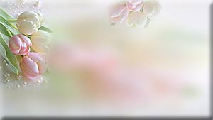 - (300x169, 5Kb)