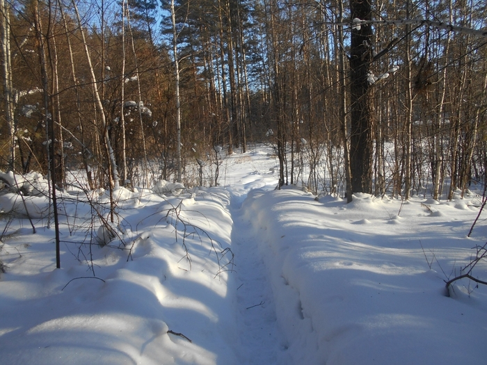 4533467_DSCN71651 (700x525, 322Kb)