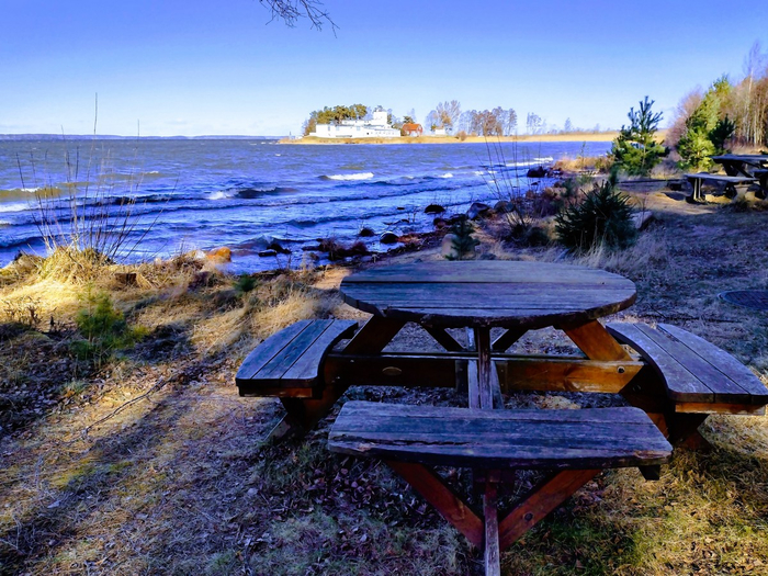 IMG_20250316_140335791_HDR (700x525, 495Kb)