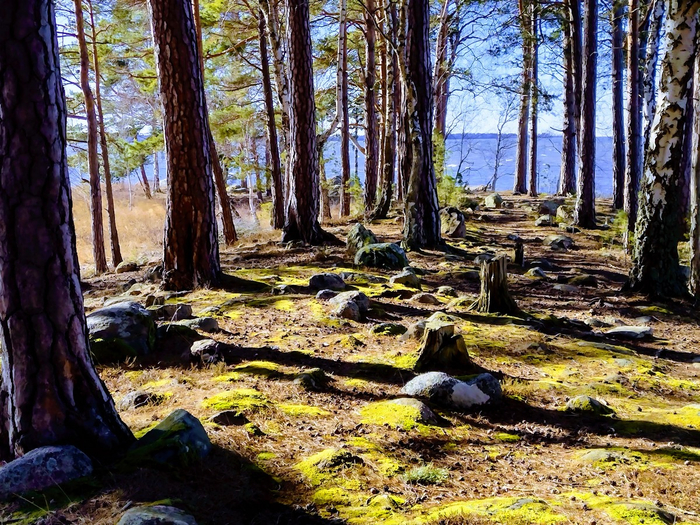 IMG_20250316_141622728_HDR (700x525, 605Kb)