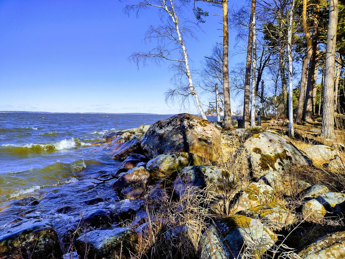 IMG_20250316_142510366_HDR (700x525, 574Kb)