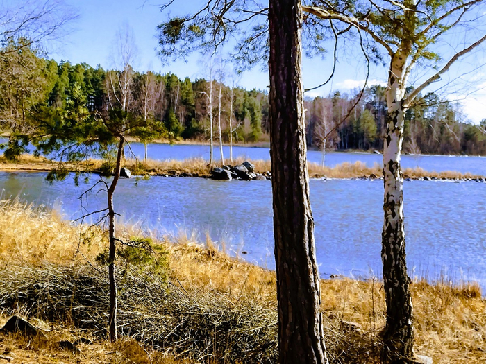 IMG_20250316_142010648_HDR (700x525, 592Kb)