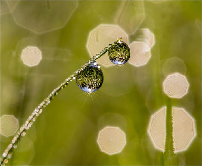 157a581bb8ae4cbf52ceec33eee0ac80--amazing-nature-photography (700x577, 274Kb)