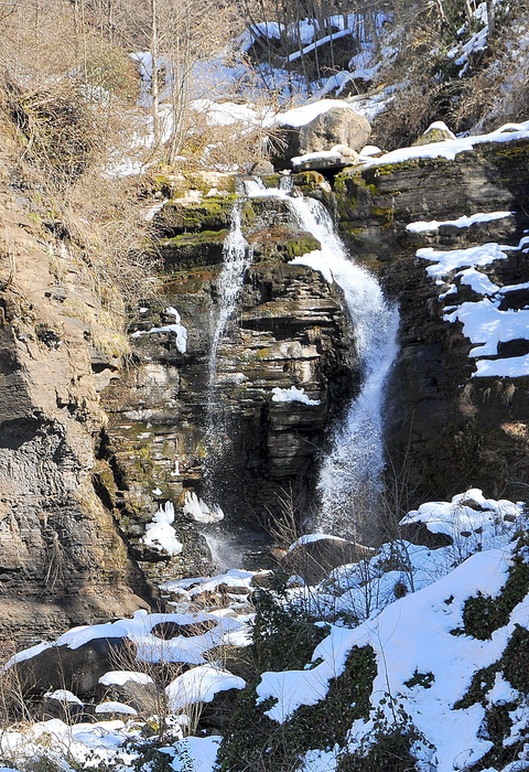 DSC_6500 (480x700, 334Kb)