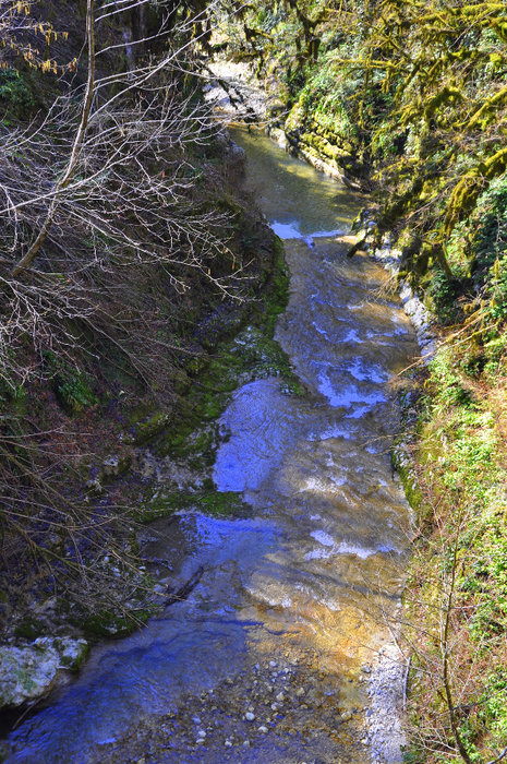 DSC_6688 (465x700, 614Kb)