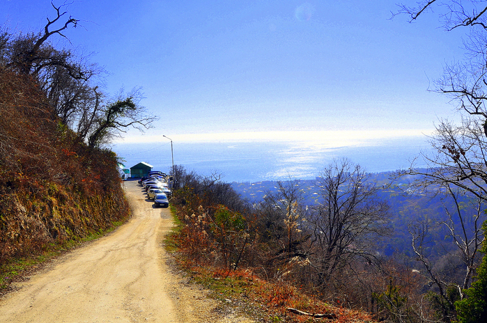 DSC_6698 (700x464, 570Kb)