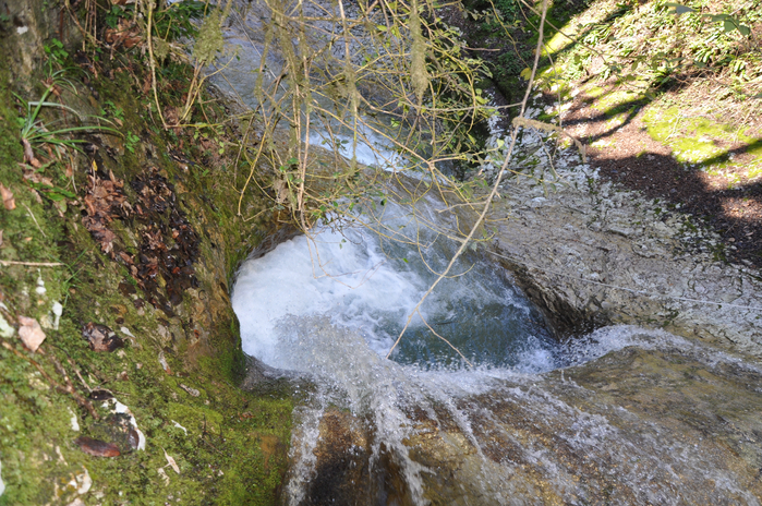 DSC_6614 (700x464, 560Kb)