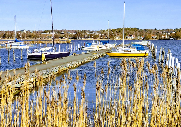 IMG_20250318_145531325_HDR (700x492, 547Kb)