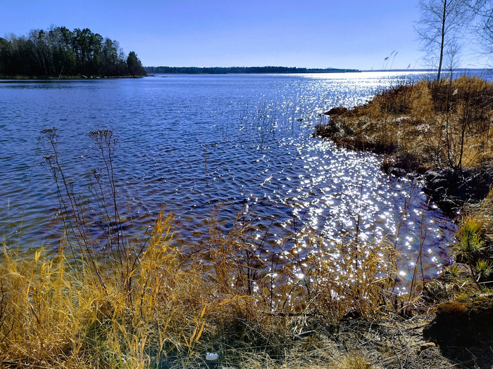 IMG_20250322_143542041_HDR (700x525, 571Kb)