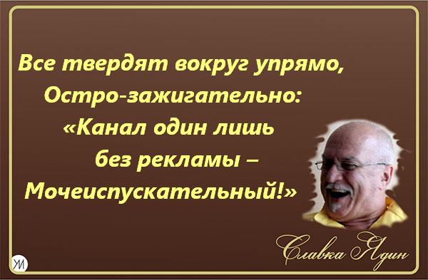    (600x393, 49Kb)