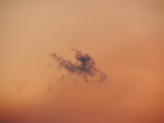  DSCN0379 (700x525, 203Kb)