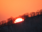  DSCN0403 (700x525, 335Kb)