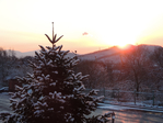  DSCN0431 (700x525, 350Kb)