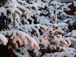  DSCN0444 (700x525, 473Kb)