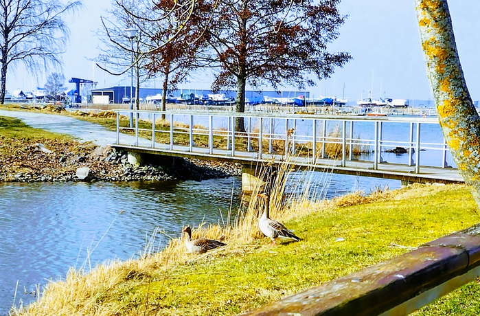 IMG_20250328_132359069_HDR (700x460, 572Kb)