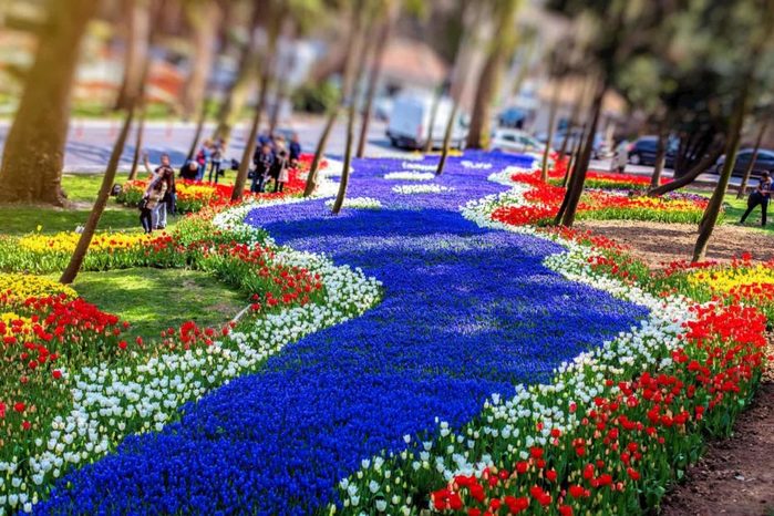 cropped-Istanbul-Tulip-Festival2-930x620 (900x666, 104Kb)
