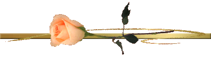 2920362_118120149_1__477_ (434x117, 10Kb)
