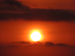  DSCN0591 (700x525, 215Kb)