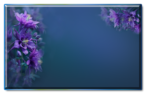 -. (300x194, 60Kb)