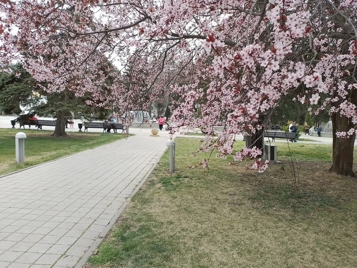 3 (700x525, 238Kb)