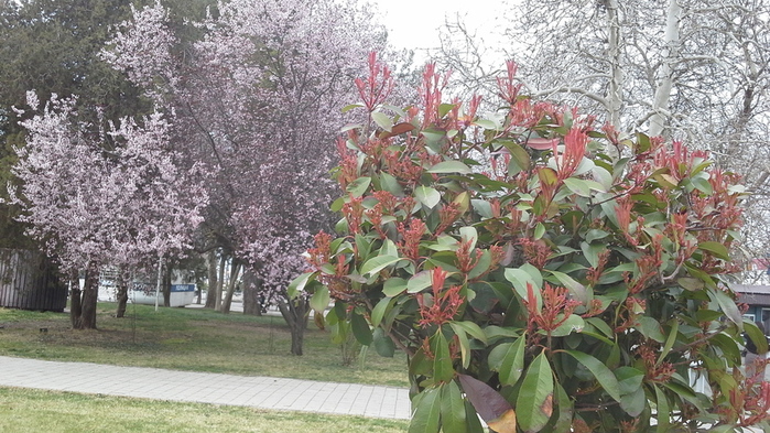 4 (700x393, 220Kb)