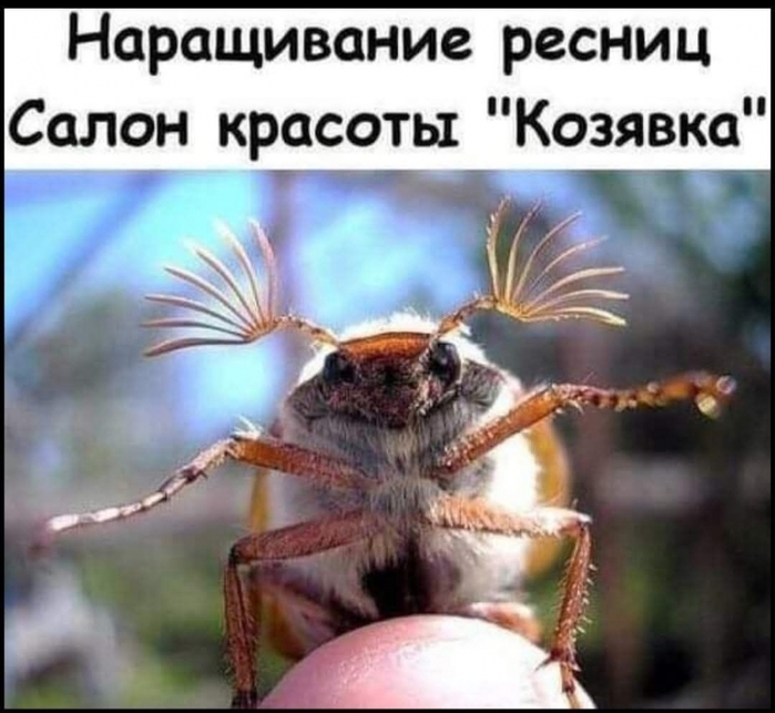3416556_486303523_1180712916986973_8621602259493317772_n (700x643, 235Kb)